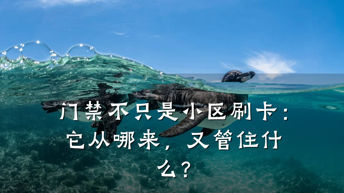 门禁不只是小区刷卡：它从哪来，又管住什么？