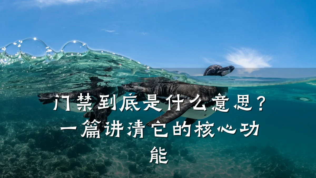 门禁到底是什么意思?一篇讲清它的核心功能