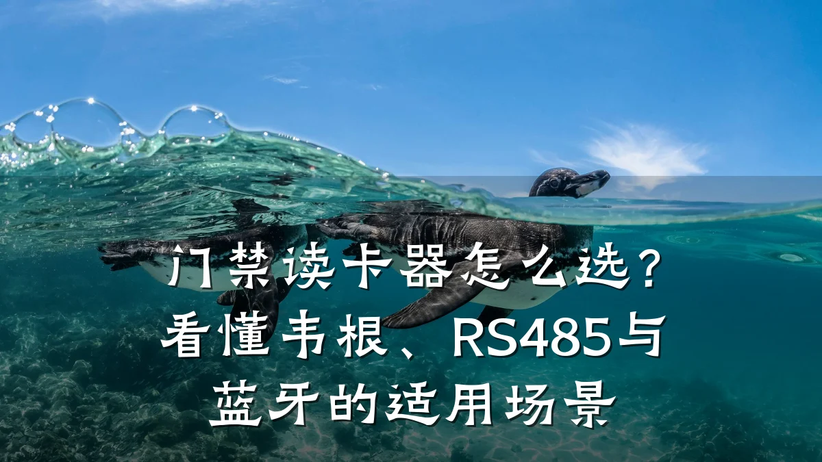 门禁读卡器怎么选？看懂韦根、RS485与蓝牙的适用场景