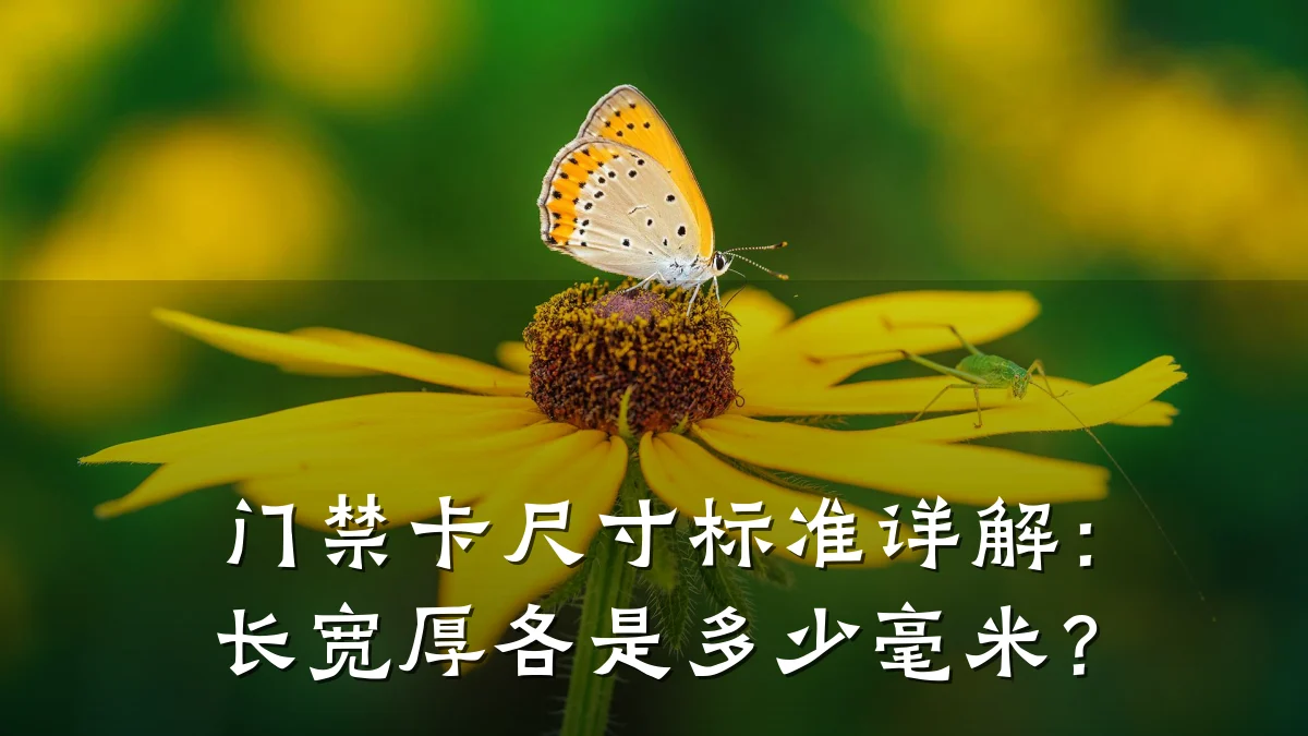 门禁卡尺寸标准详解:长宽厚各是多少毫米?
