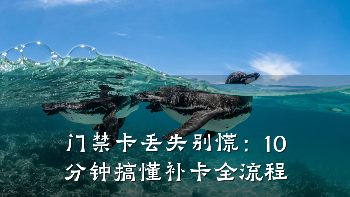 门禁卡丢失别慌：10分钟搞懂补卡全流程