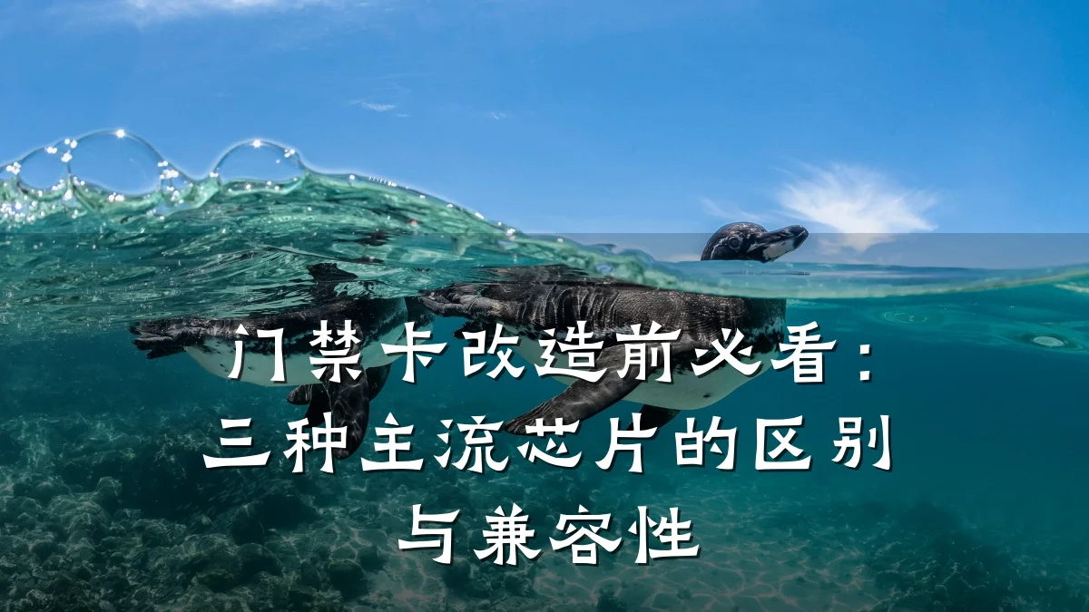 门禁卡改造前必看：三种主流芯片的区别与兼容性