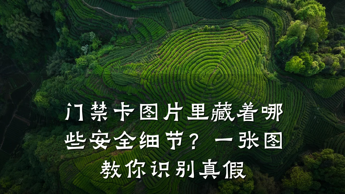 门禁卡图片里藏着哪些安全细节？一张图教你识别真假