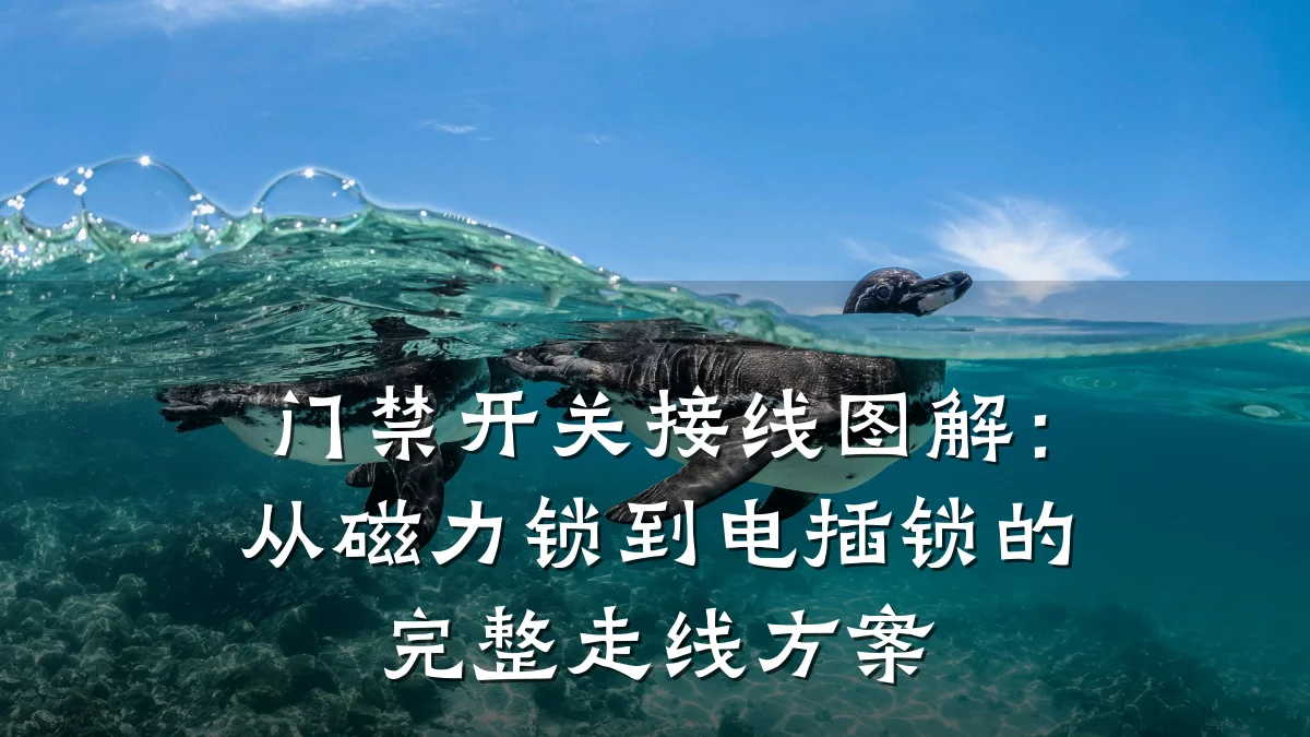 门禁开关接线图解：从磁力锁到电插锁的完整走线方案