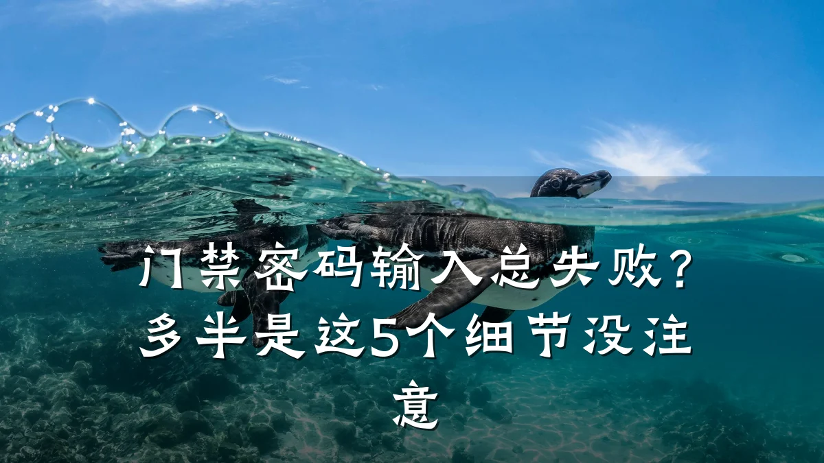 门禁密码输入总失败？多半是这5个细节没注意