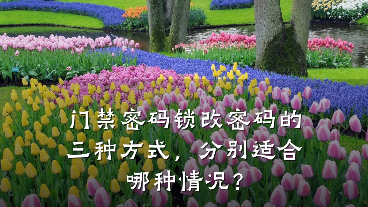 门禁密码锁改密码的三种方式，分别适合哪种情况？
