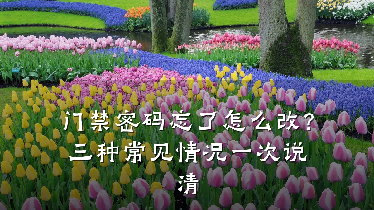 门禁密码忘了怎么改?三种常见情况一次说清