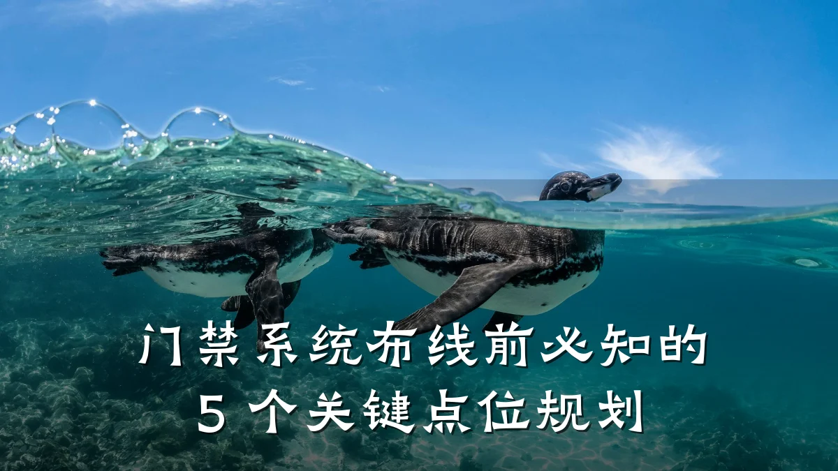 门禁系统布线前必知的 5 个关键点位规划