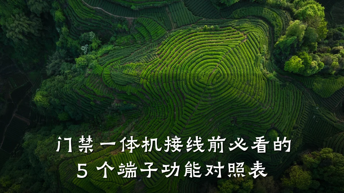 门禁一体机接线前必看的 5 个端子功能对照表