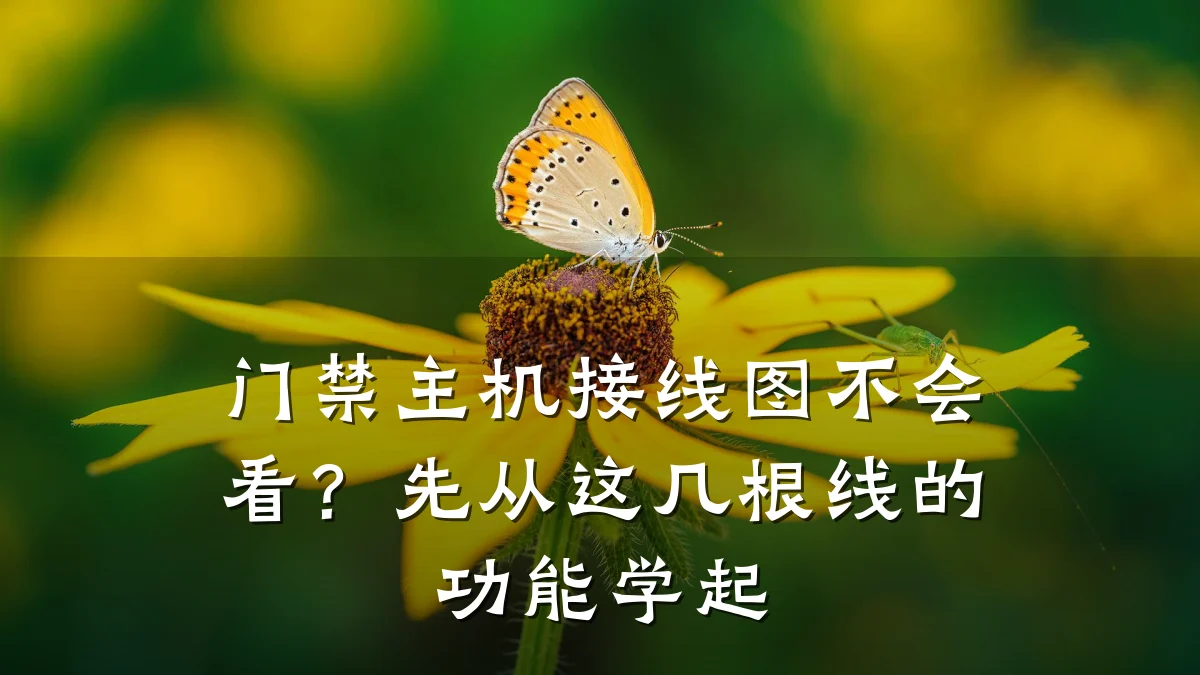 门禁主机接线图不会看？先从这几根线的功能学起