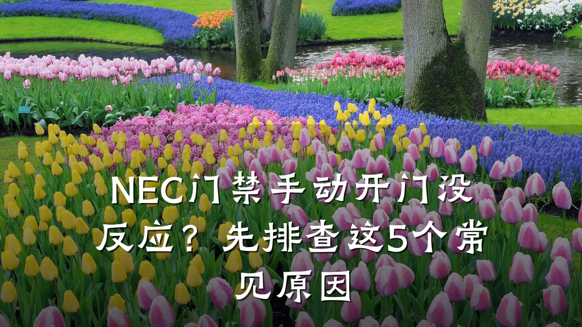 NEC门禁手动开门没反应？先排查这5个常见原因