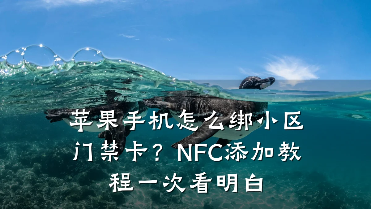 苹果手机怎么绑小区门禁卡？NFC添加教程一次看明白