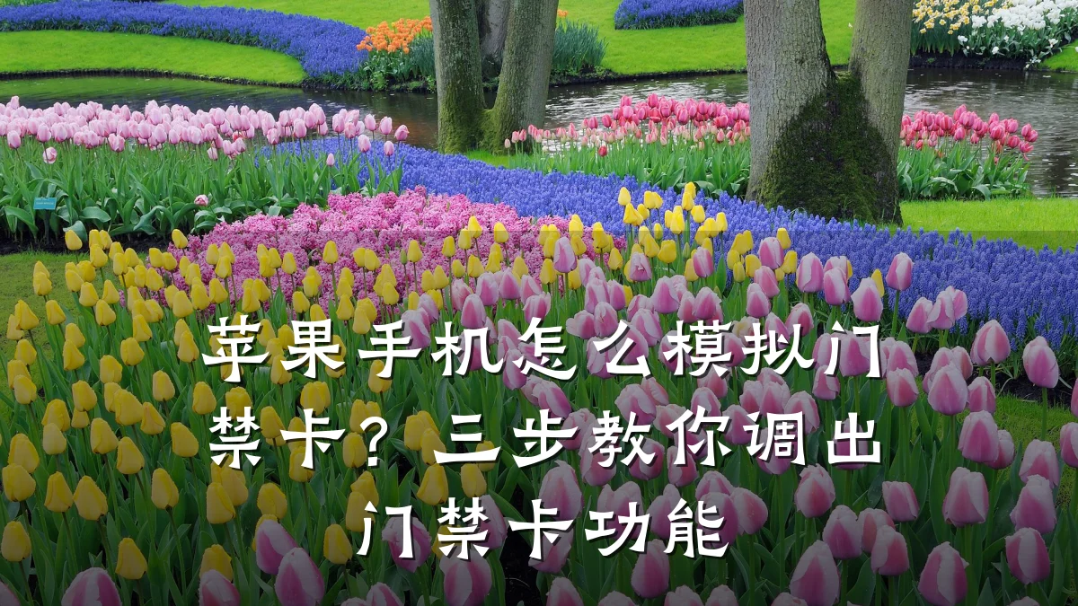 苹果手机怎么模拟门禁卡？三步教你调出门禁卡功能