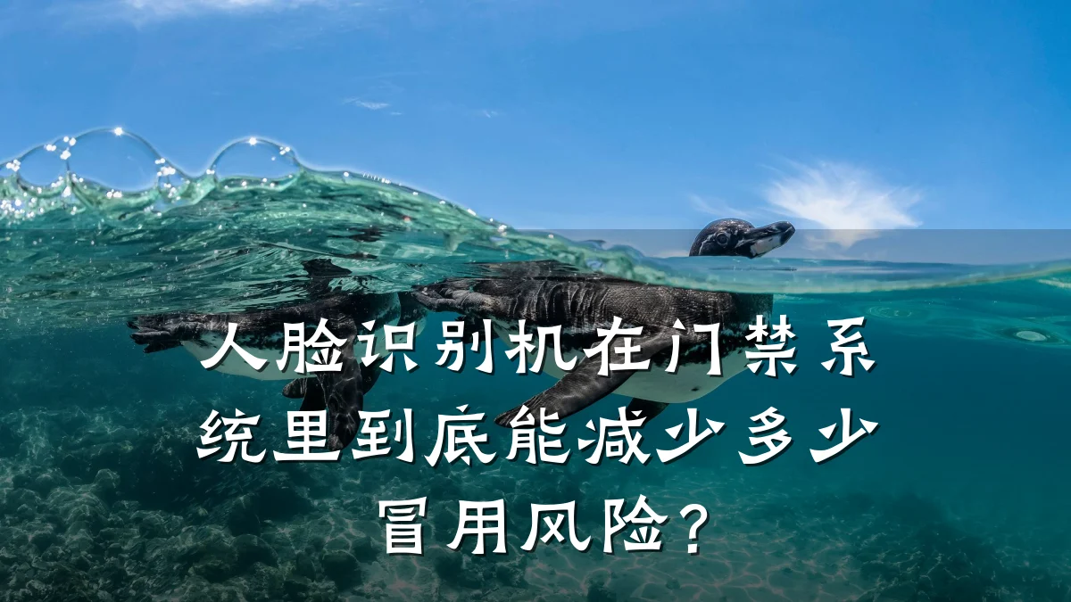 人脸识别机在门禁系统里到底能减少多少冒用风险？