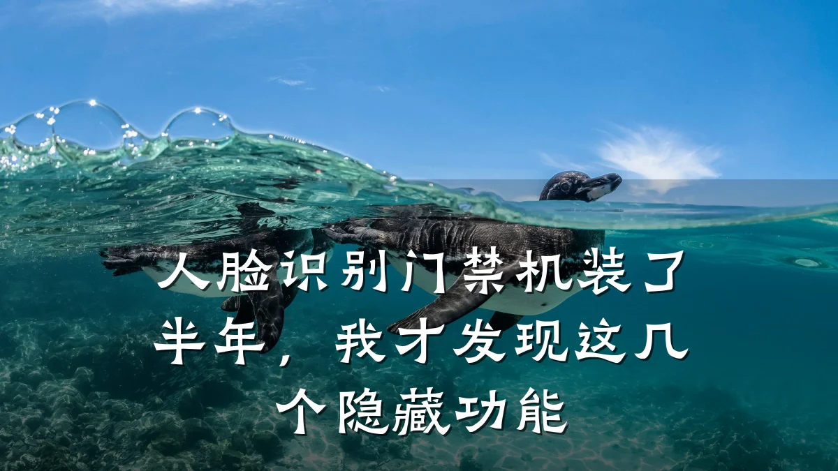 人脸识别门禁机装了半年，我才发现这几个隐藏功能