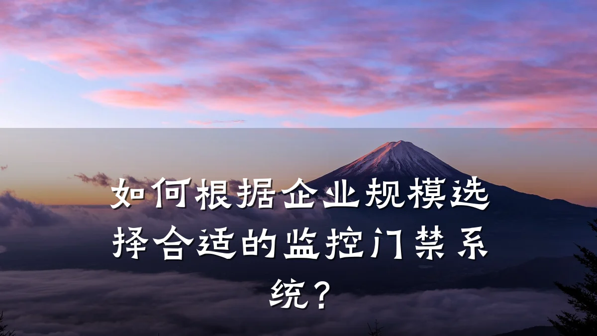 如何根据企业规模选择合适的监控门禁系统？