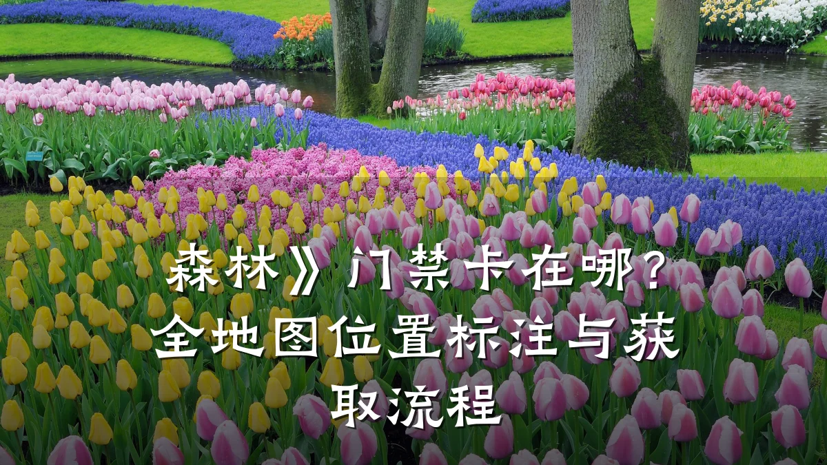 森林》门禁卡在哪？全地图位置标注与获取流程