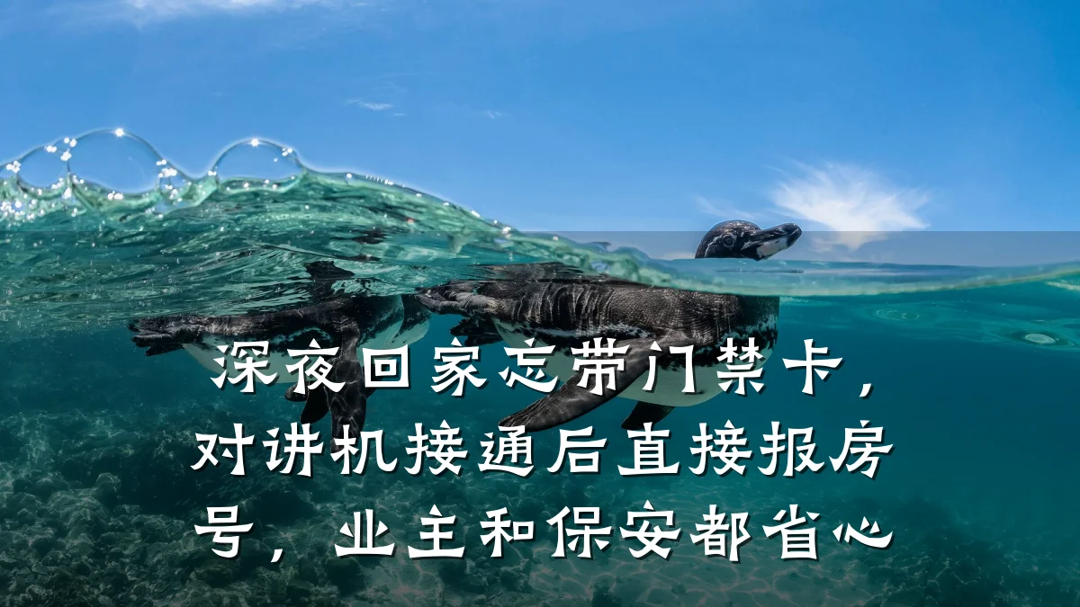 深夜回家忘带门禁卡，对讲机接通后直接报房号，业主和保安都省心