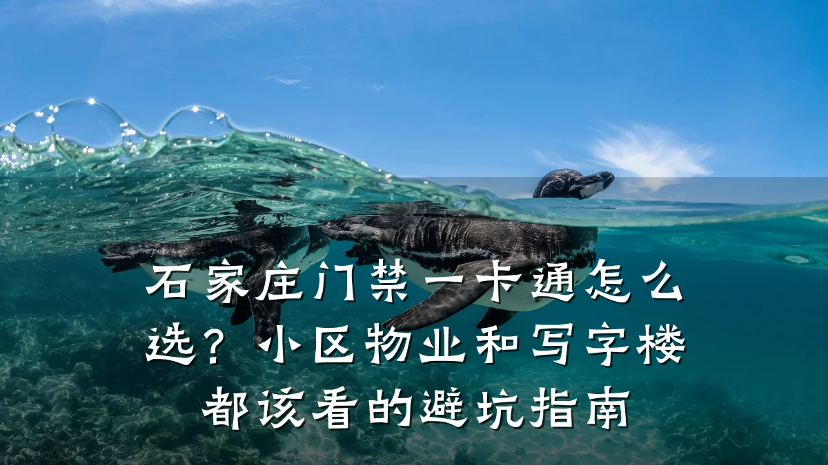 石家庄门禁一卡通怎么选?小区物业和写字楼都该看的避坑指南