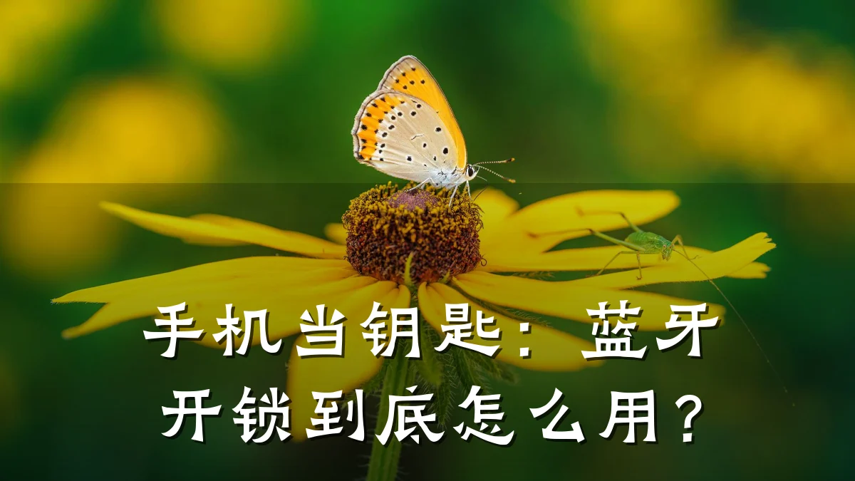 手机当钥匙：蓝牙开锁到底怎么用？
