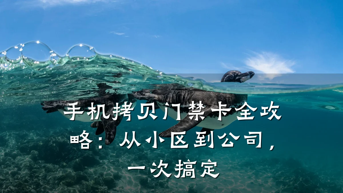 手机拷贝门禁卡全攻略:从小区到公司,一次搞定