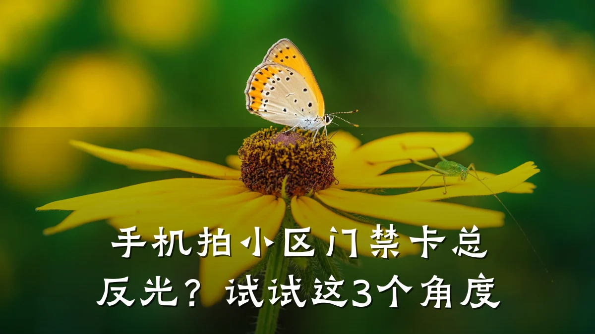手机拍小区门禁卡总反光？试试这3个角度