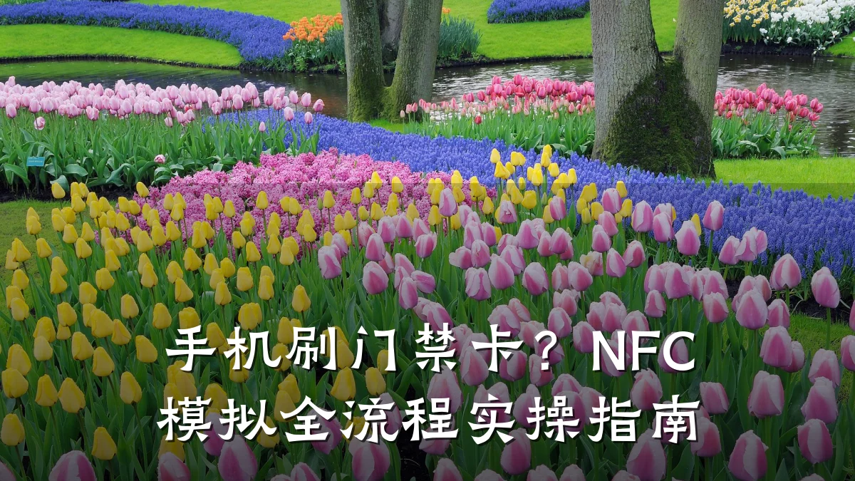 手机刷门禁卡？NFC模拟全流程实操指南