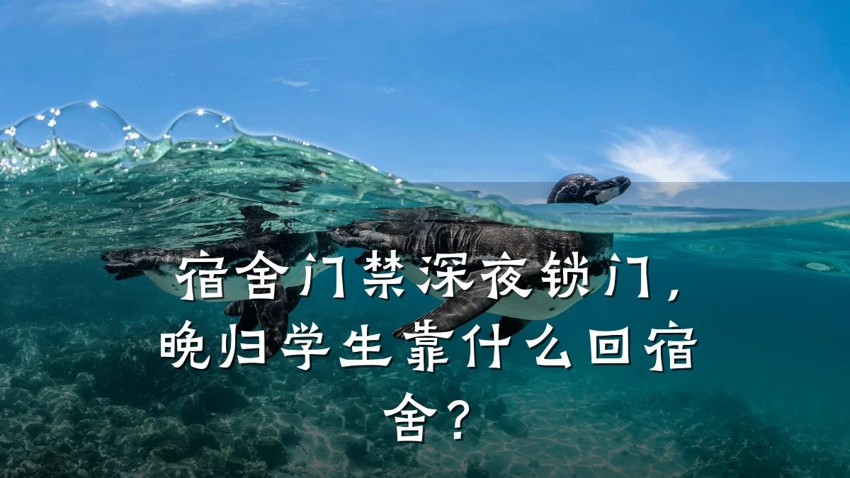 宿舍门禁深夜锁门，晚归学生靠什么回宿舍？