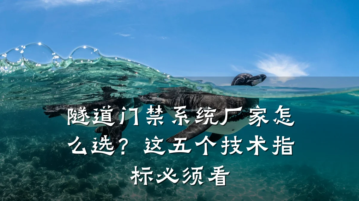 隧道门禁系统厂家怎么选？这五个技术指标必须看