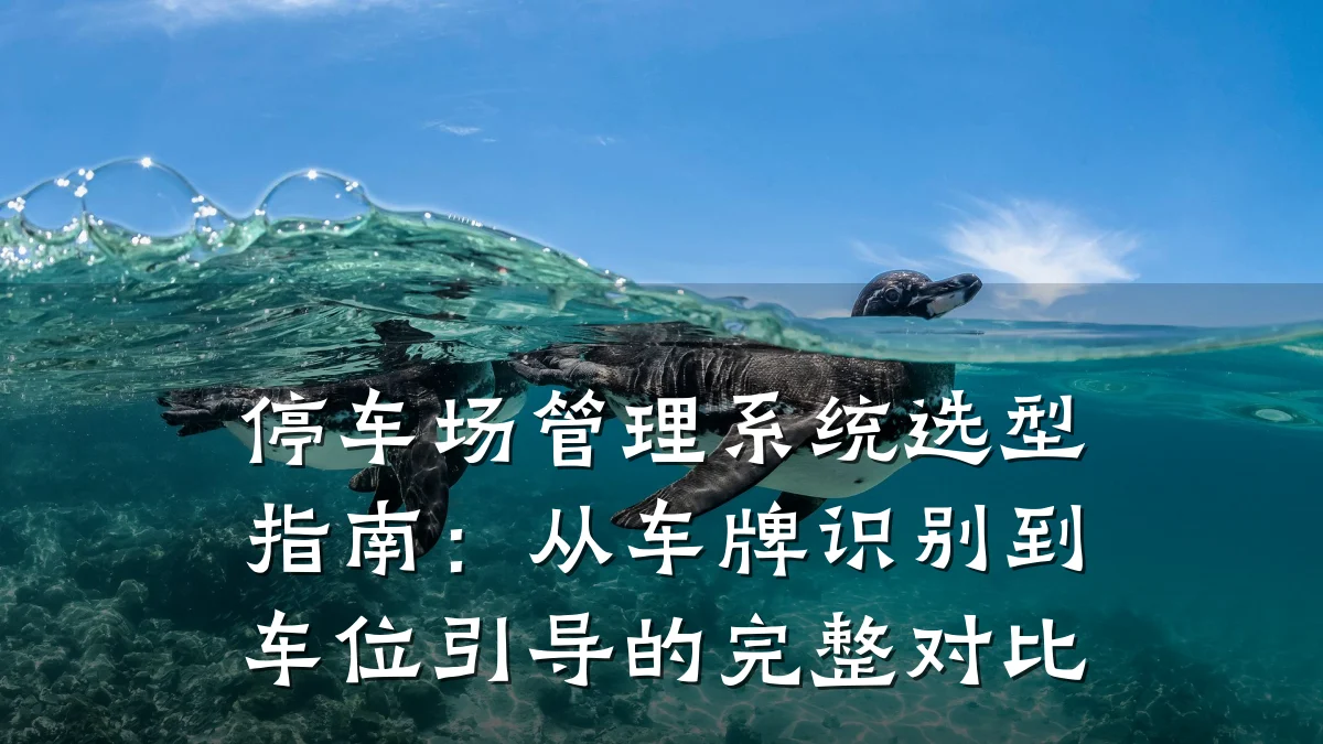 停车场管理系统选型指南：从车牌识别到车位引导的完整对比