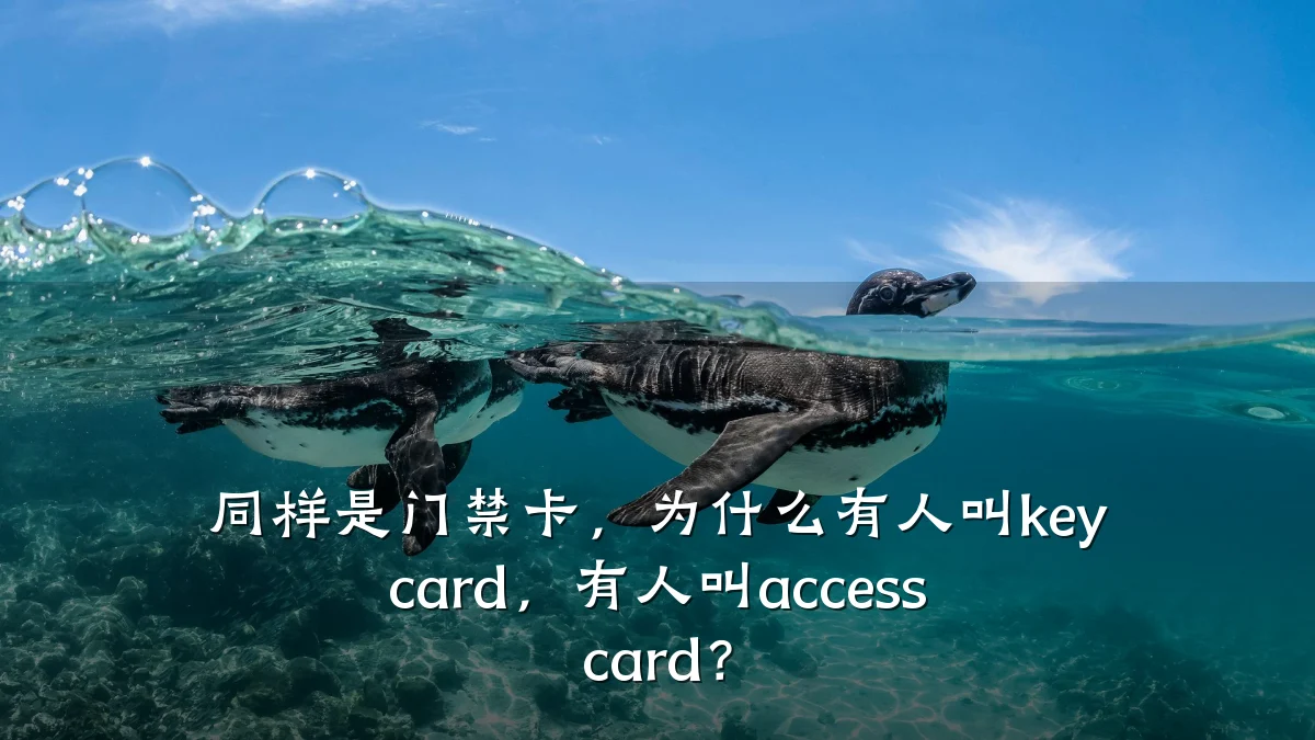 同样是门禁卡,为什么有人叫key card,有人叫access card?