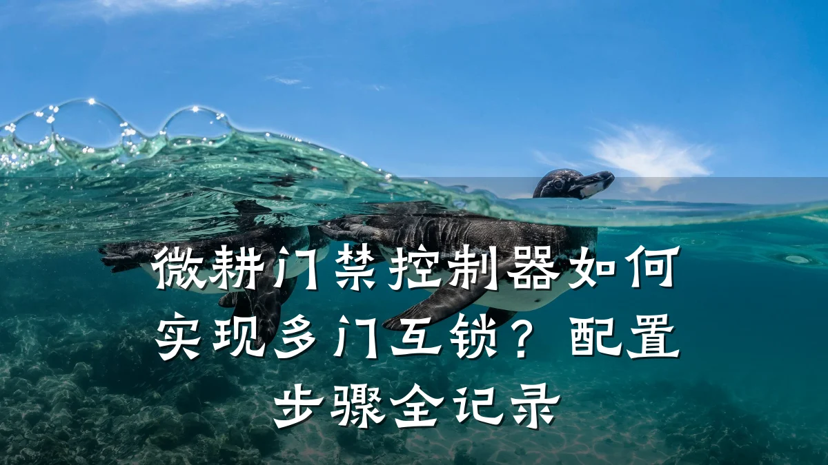 微耕门禁控制器如何实现多门互锁？配置步骤全记录