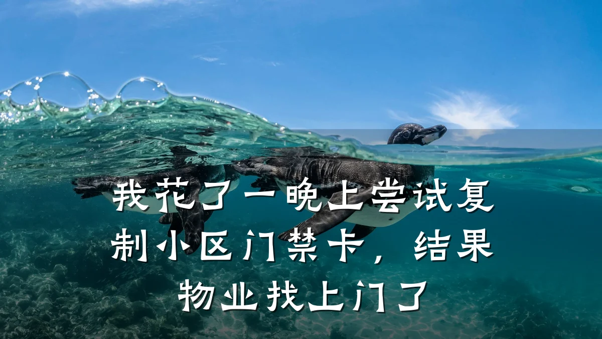 我花了一晚上尝试复制小区门禁卡，结果物业找上门了