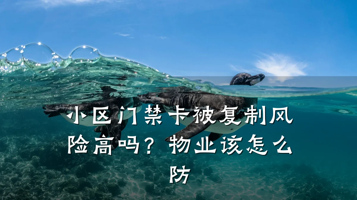 小区门禁卡被复制风险高吗?物业该怎么防