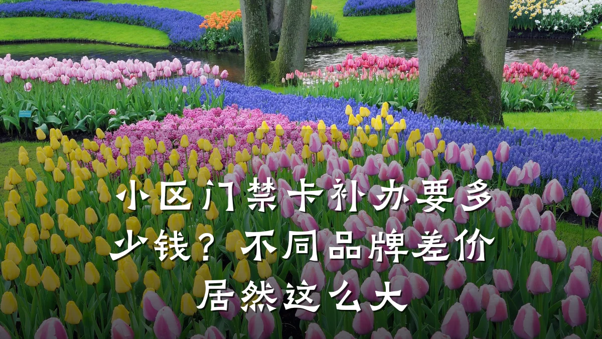 小区门禁卡补办要多少钱？不同品牌差价居然这么大