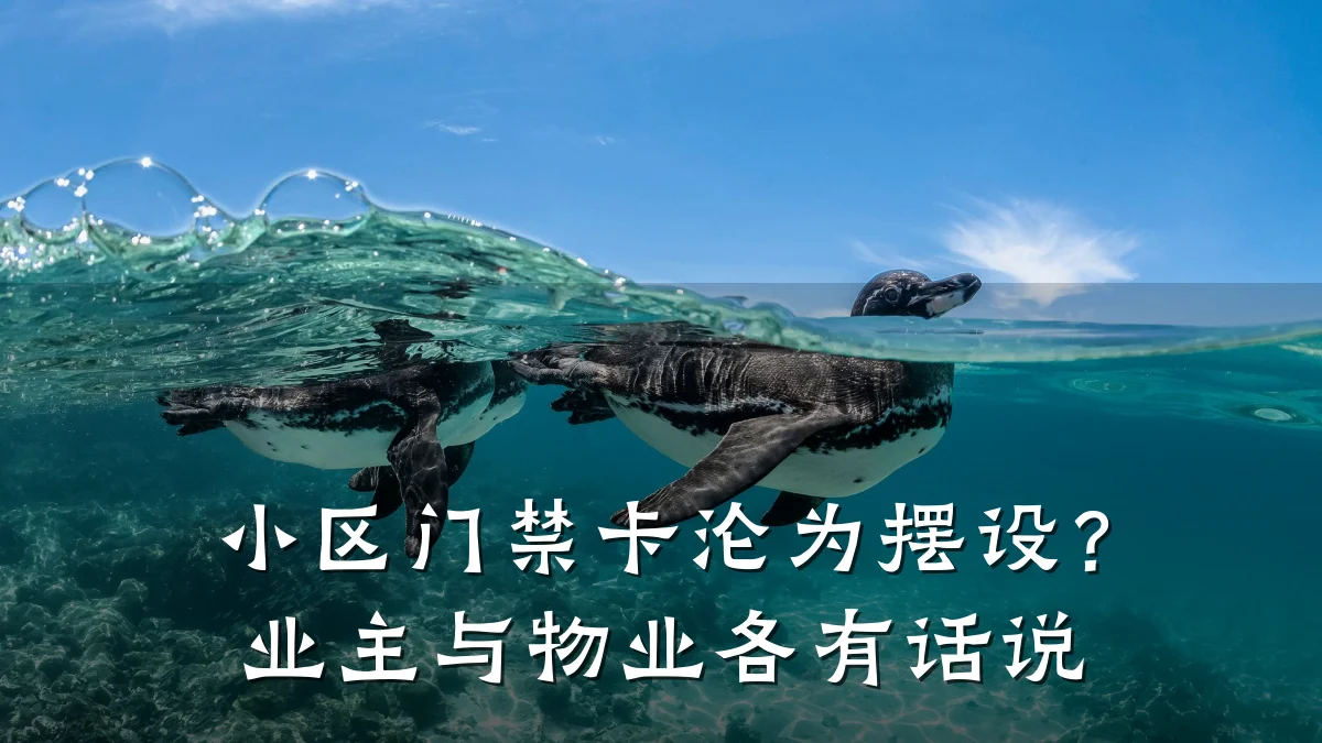 小区门禁卡沦为摆设?业主与物业各有话说