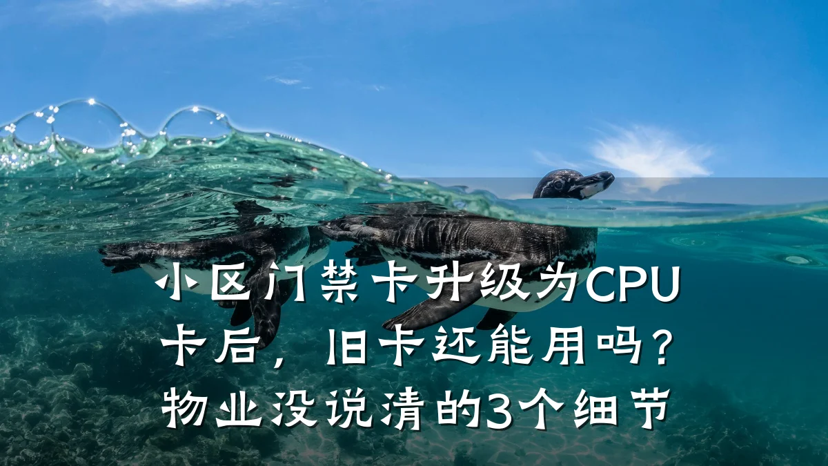 小区门禁卡升级为CPU卡后，旧卡还能用吗？物业没说清的3个细节
