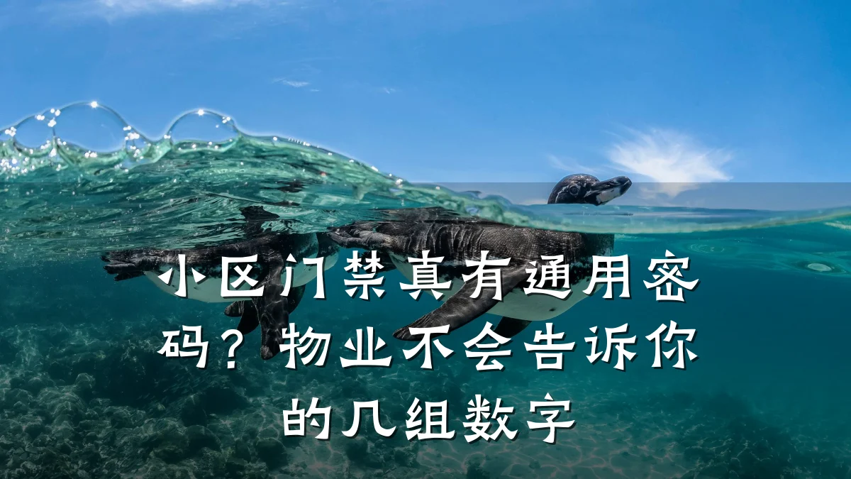 小区门禁真有通用密码？物业不会告诉你的几组数字