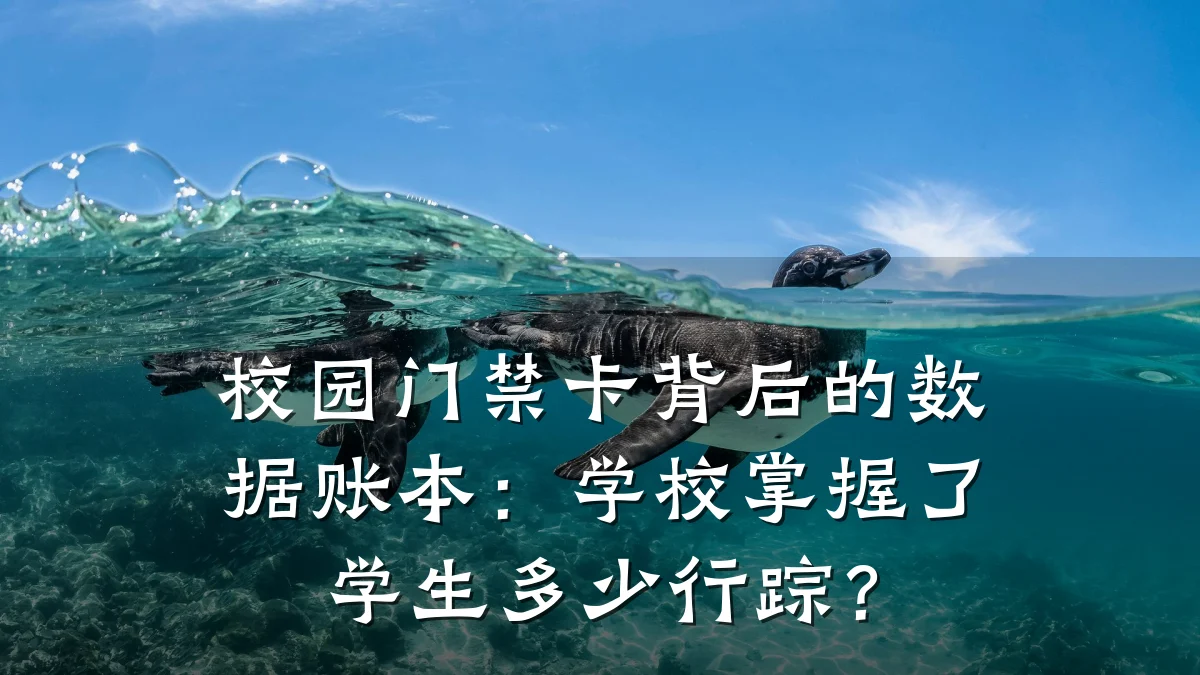 校园门禁卡背后的数据账本：学校掌握了学生多少行踪？