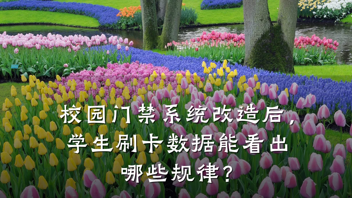 校园门禁系统改造后，学生刷卡数据能看出哪些规律？