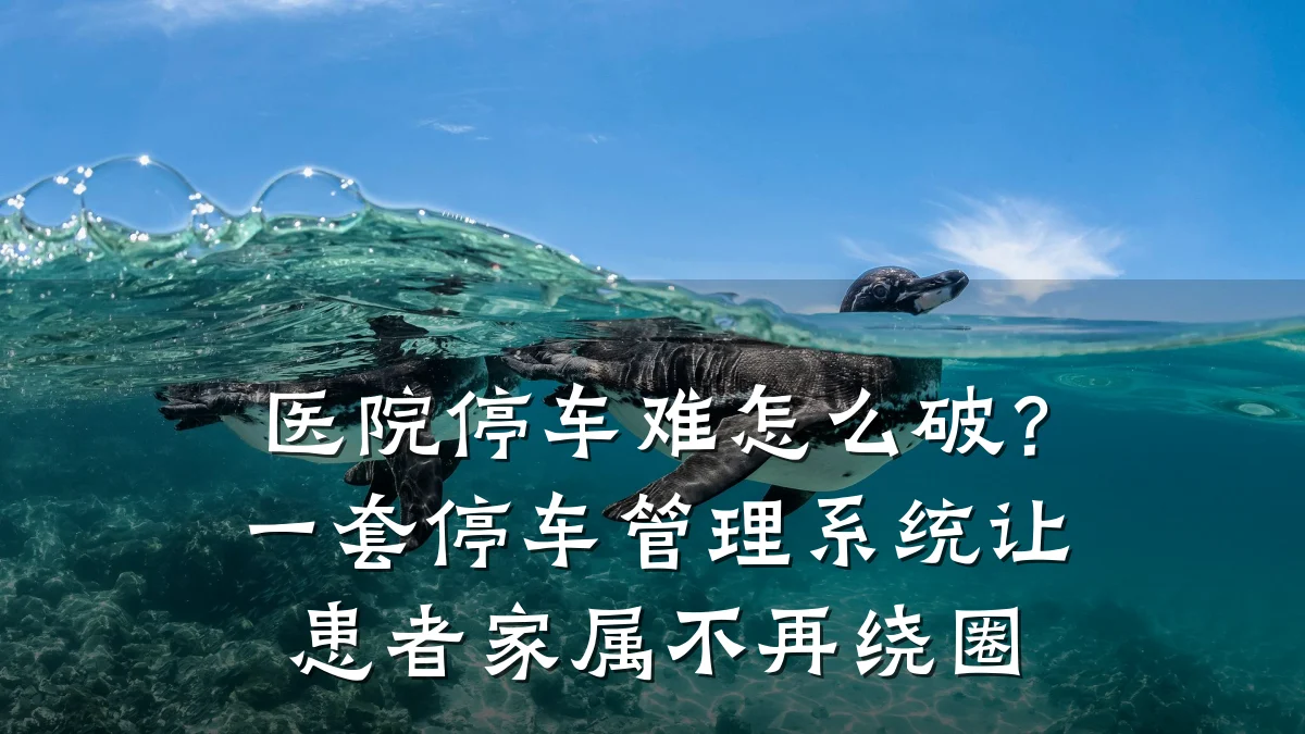 医院停车难怎么破？一套停车管理系统让患者家属不再绕圈