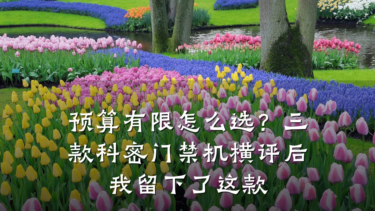 预算有限怎么选？三款科密门禁机横评后我留下了这款