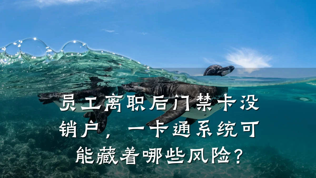 员工离职后门禁卡没销户,一卡通系统可能藏着哪些风险?