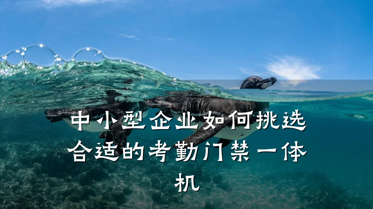 中小型企业如何挑选合适的考勤门禁一体机